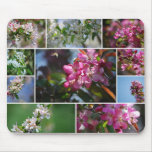Apple Blossoms Collage Mousepad