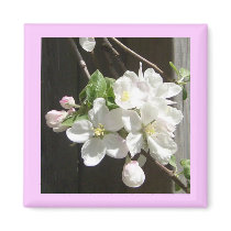 Apple Blossoms & Flowers Refrigerator Magnets