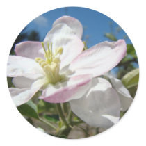 Apple BLOSSOMS Flowers STICKERS STICKER SHEETS