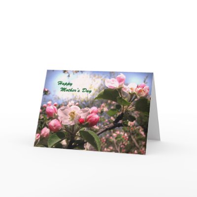 Apple Blossoms for Mother's Day Cards by Bebops
