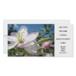 Apple Blossoms Invitation Cards Floral Photo Cards photo cards