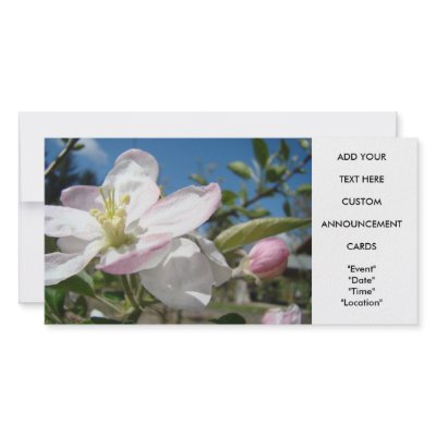 Apple Blossoms Invitation Cards Floral Photo Cards by Basleeartprintgifts
