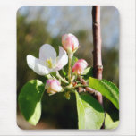 Apple Blossoms Mouse Pad