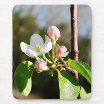 Apple Blossoms Mouse Pad