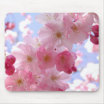 apple blossoms mouse pads