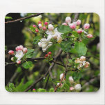 apple blossoms mousepad