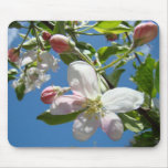 APPLE BLOSSOMS MOUSEPADS Tree Blossoms Mousepad