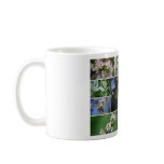 Apple Blossoms Mug