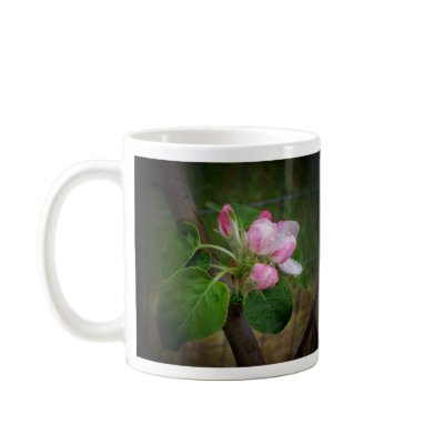 Apple Blossoms Coffee Mugs by kseddy