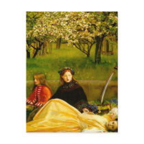 Apple Blossoms Spring Fine Art Post Card