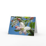 APPLE BLOSSOMS SPRING GREETING CARDS CARD Florals