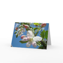 APPLE BLOSSOMS SPRING GREETING CARDS CARD Florals