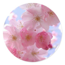 apple blossoms round stickers