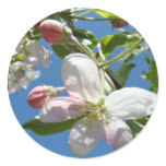 APPLE BLOSSOMS STICKERS STICKER SHEETS Gifts