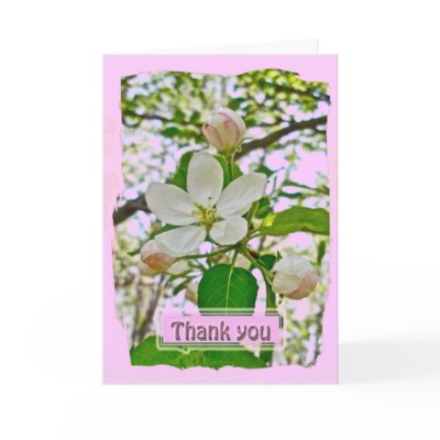 Apple Blossoms Thank You Card by CarolsCamera