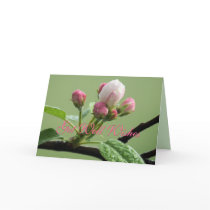 Apple Buds Card- customise any occasion