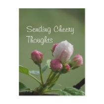 Apple Buds Postcard- customise