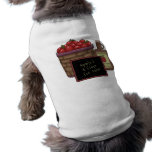 Apple Cider pet clothing