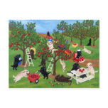 Apple Farm Labradors Postcards