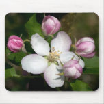 Apple flowers mousepad