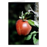 Apple Greeting Cards