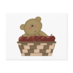 apple harvest teddy bear post cards