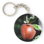 Apple Key Chains