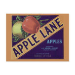 "Apple Lane" Fruit Crate Label Postcard