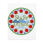 Apple Mandala - Blue postcards