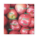 Apple  Mela Manzana Pomme Apfel magnets