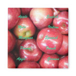 Apple  Mela Manzana Pomme Apfel magnets