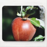 Apple Mouse Pad