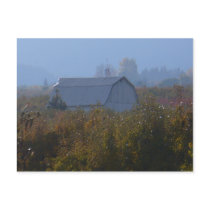 Apple Orchard Barn Postcard