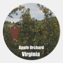 Apple Orchard, Virginia Round Stickers