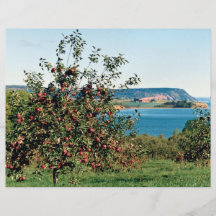 Apple orchard with Cape Blomindon in background, N Flyers