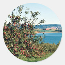 Apple orchard with Cape Blomindon in background, N Round Sticker