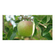 Apple Photo Card