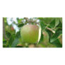 Apple Photo Card