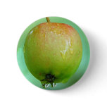 Apple Pigeon Pinback Button
