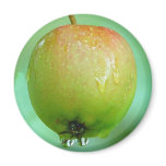 Apple Pigeon Fridge Magnets