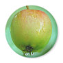 Apple Pigeon Fridge Magnets