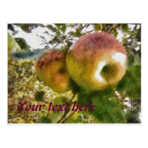 Apple Post Cards