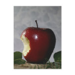Apple Postcard
