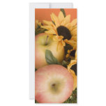 apple rack cards