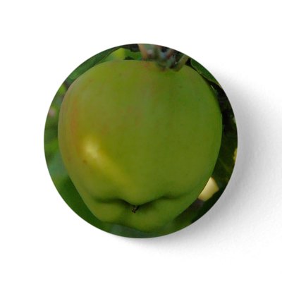 Apple Signe Tillish Pinback Button by Thorninger