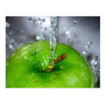 Apple Splash Postcard