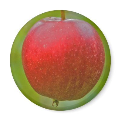 Apple Summer Red Magnets by Thorninger