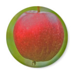Apple Summer Red magnets