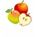 Apple T-Shirt