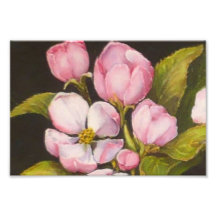 Apple tree bloom photo